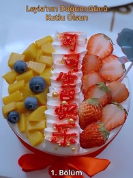 Soğuk Kalbin Erimesi - Episode 1