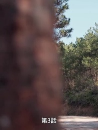 第3話 - 風夏姫~プリンセスの数奇な運命