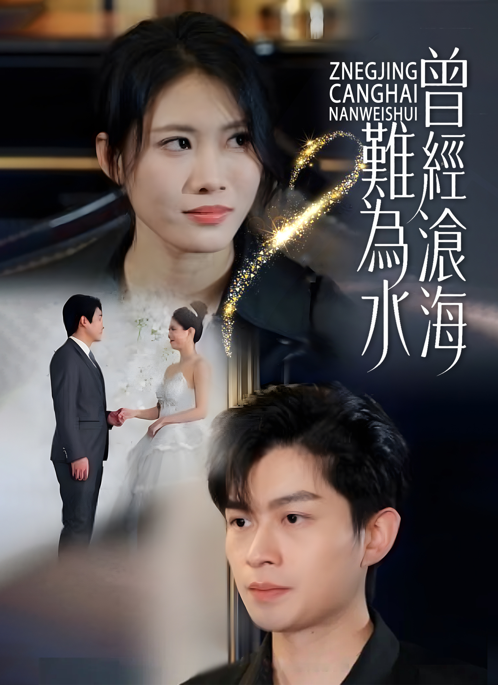 《曾經滄海難為水》封面