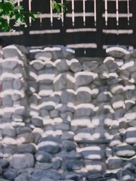 Episodio 38 - Acuerdo prohibido con mi profesor