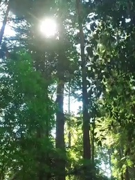 Por Que Me Força a Ser Imperador? - Episode 59