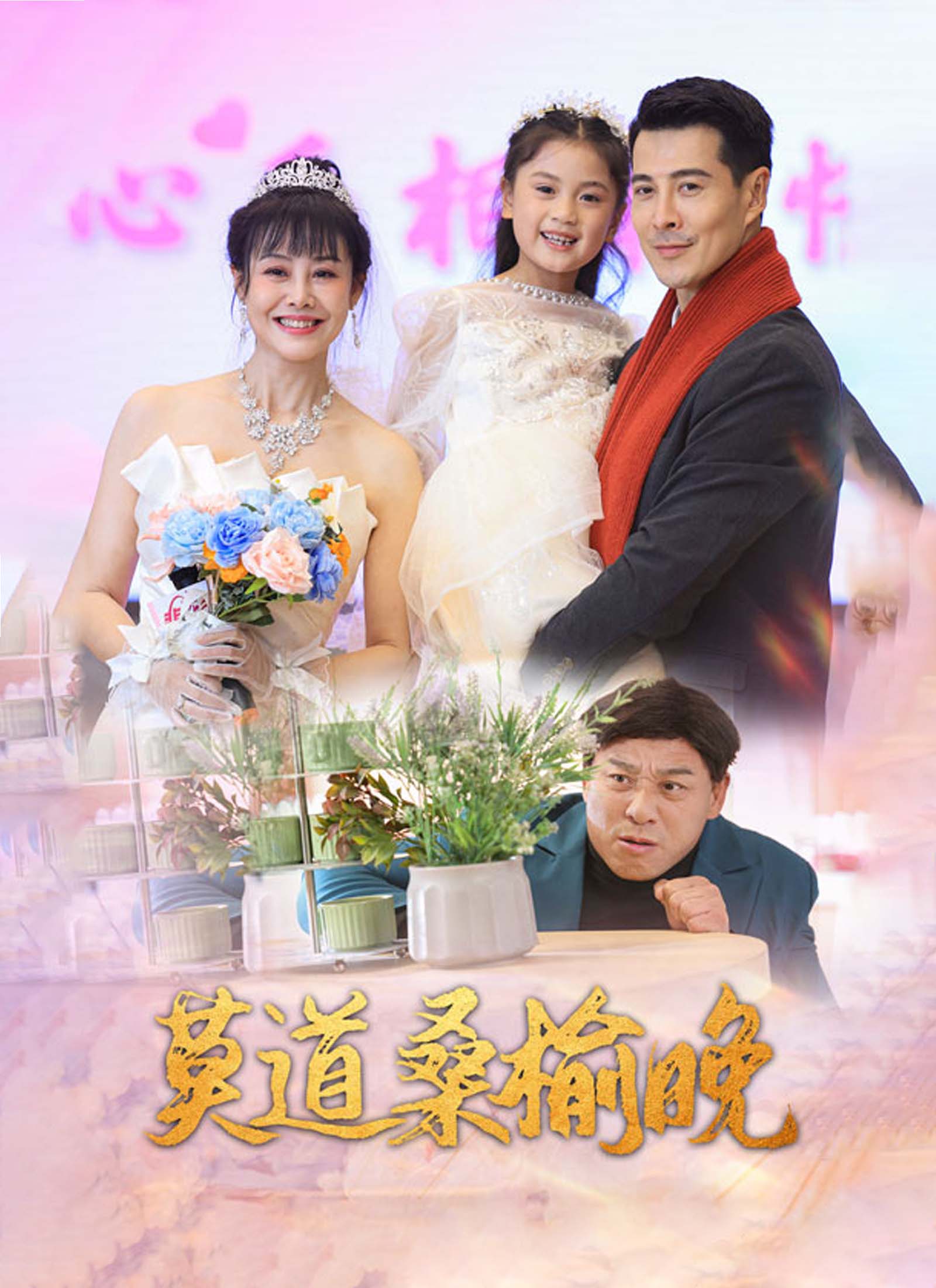 《莫道桑榆晚》封面