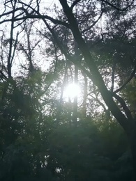 Kaba Gelin ve Gizli Prens - Episode 6