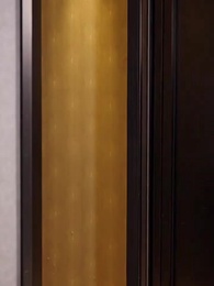 第18集 - 撿了個總裁回農村