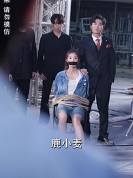 第20集 - 撿了個總裁回農村