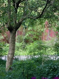 La princesa oculta - Episode 60