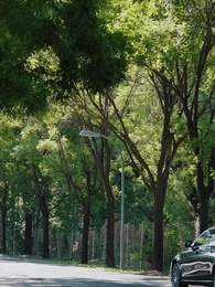 在他深情中隕落 - Episode 10