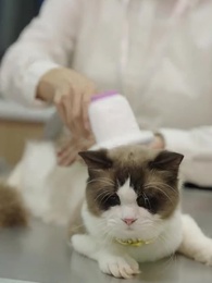 Soğuk Milyarderin Kalbini Eritmek - Episode 9