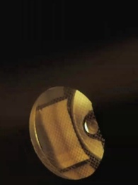 第2集 - 愛與責任的邊界