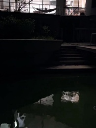 Episode 31 - Who is the father in a love triangle