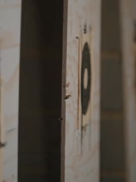 Episode 1 - Shoot Your Heart