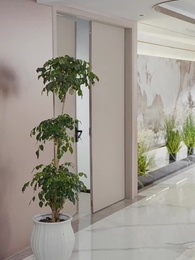 Falsche Hochzeit, richtige Braut - Episode 27