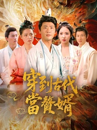 穿到古代當贅婿