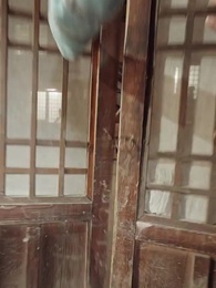 Nhớ ơn Mẹ nơi Đại điện - Episode 58