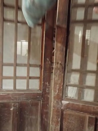 عرش الملك، وقلب الأم - Episode 58