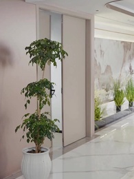 Tập 27 - Nhầm lẫn hôn lễ và cô vợ đúng