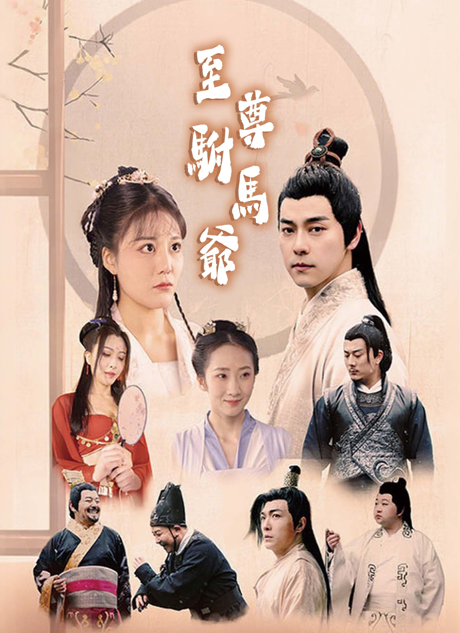 《至尊駙馬爺》封面