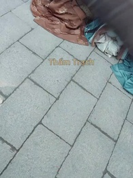 Tập 27 - Nhớ ơn Mẹ nơi Đại điện