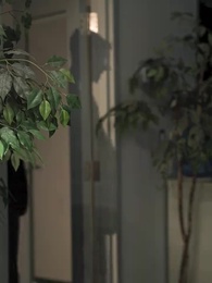 Spoiled By The Billionaire - Episode 11