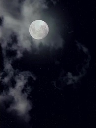 Poder y Pasión de la Esposa Valiente - Episode 63