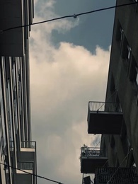 CEO's mistaken lover - Episode 63