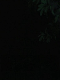 Bölüm 17 - İntikam İçin Yeniden Doğmak: İhanete Uğramış Luna