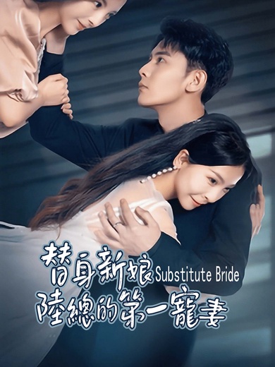 替身新娘：陸總的第一寵妻