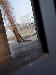 Episode 63 - Daddy's Unexpected Triplet