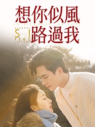 想你似風路過我