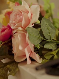 Episode 56 - The Homeless Heiress