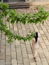 第10集 - 少帥，夫人說她不配