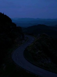 Dumb? Or Divine? - Episode 1