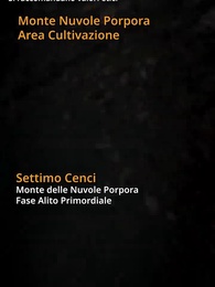 Episodio 1 - Finalmente Immortale