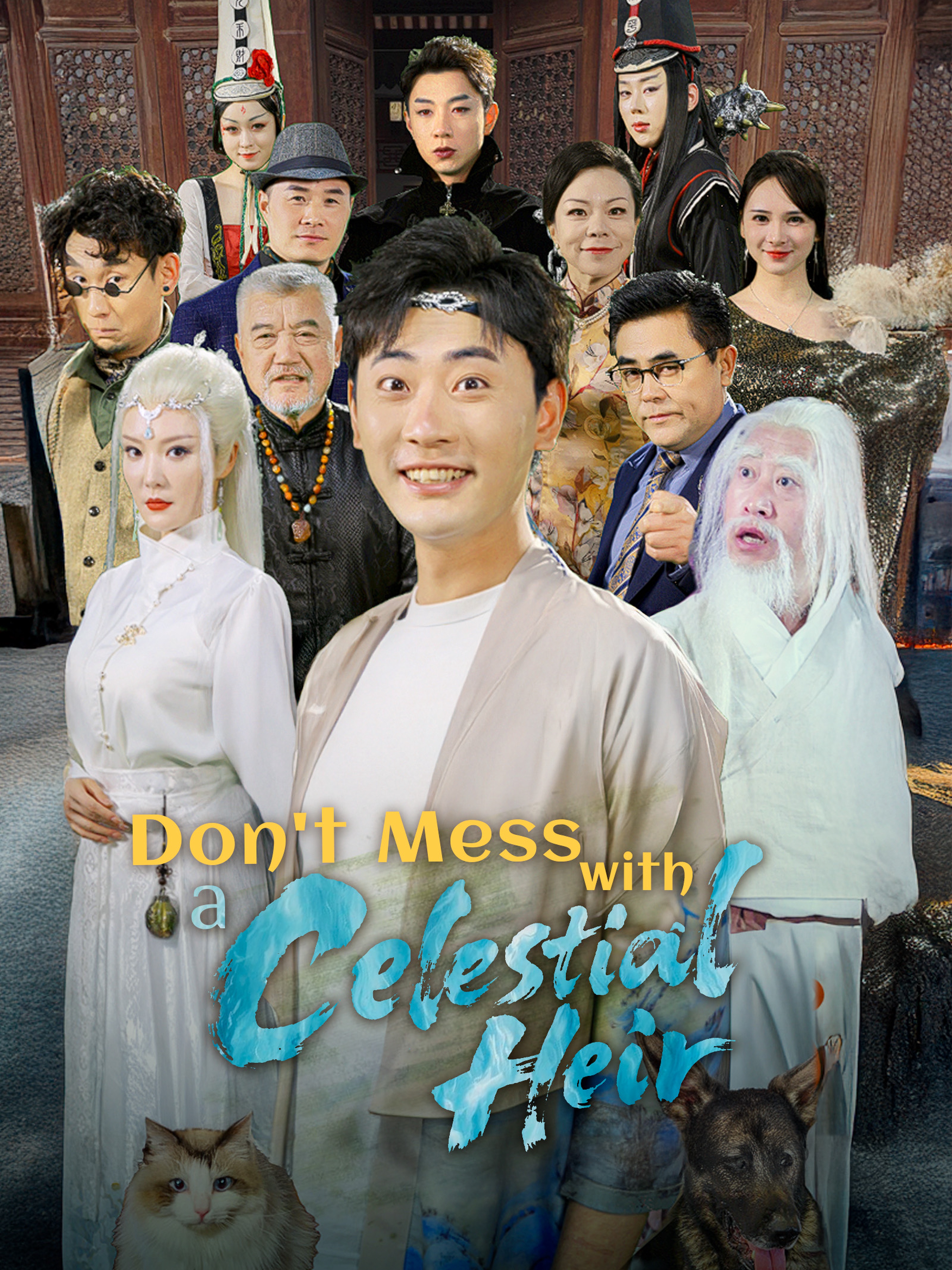 Don't Mess with a Celestial Heir