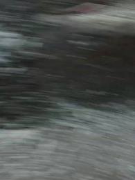 Episódio 15 - Crônicas Divinas O Sangue da Renovação