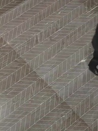 Episodio 47 - La Historia de un Místico