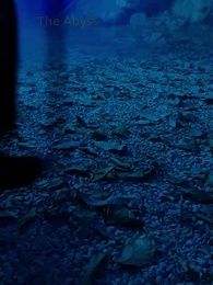 Don't Mess with a Celestial Heir - Episode 40