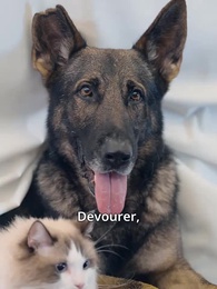 Don't Mess with a Celestial Heir - Episode 46