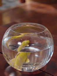 Don't Mess with a Celestial Heir - Episode 54