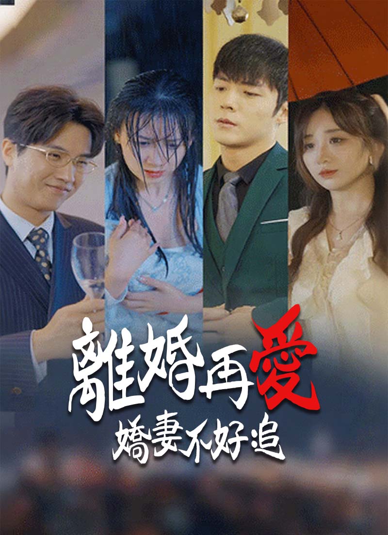 《離婚再愛 嬌妻不好追》封面