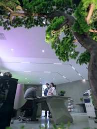 Episode 34 - The Emperor's Reset