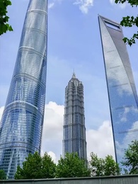 第8集 - 愛已如明日黃花