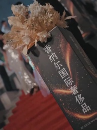 第21集 - 黑月光只想爆紅