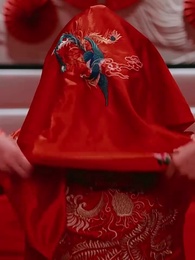 第5集 - 妖孽神醫混花都