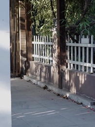 天下第一女婿 - Episode 16