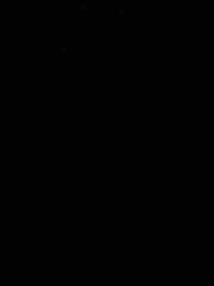 第4集 - 最佳女婿