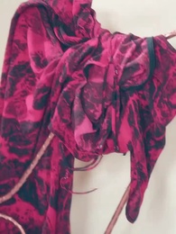 Episodio 70 - Escamas del Dragón