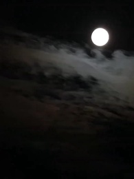 第46集 - 妄爺夫人她馬甲又掉了