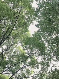 絕品贅婿 - Episode 66