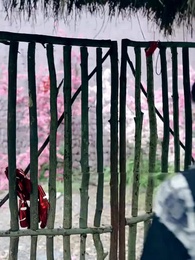Episódio 2 - Escama de Dragão